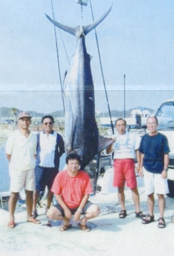 ���q�@���v