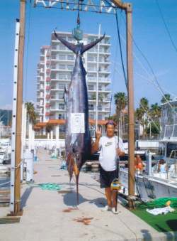 �����@���O