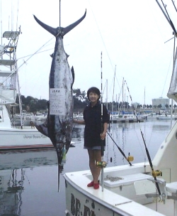 ���v�ԁ@���q