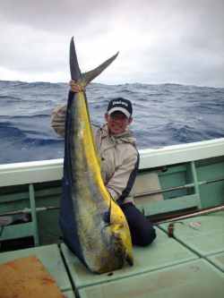 ���c�@��