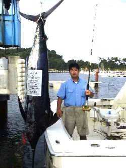 �c���@�q�F