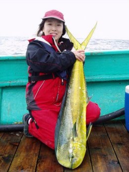 ���c�@�����q