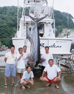 ����@�O��