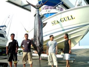 ���c�@����