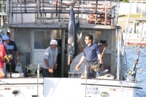 ��J�@���G