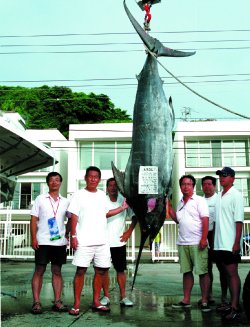 ����@�O��