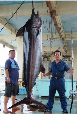 ��J�@���G