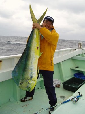 ���R�@����