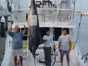 �L�V�@���q