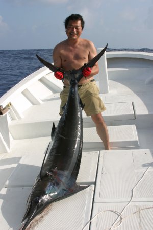 �L�V�@�m�m�N