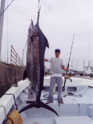 �i��@����