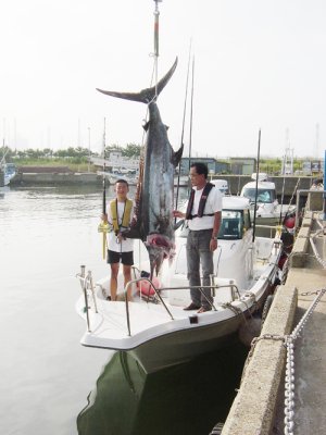 �O�Y����