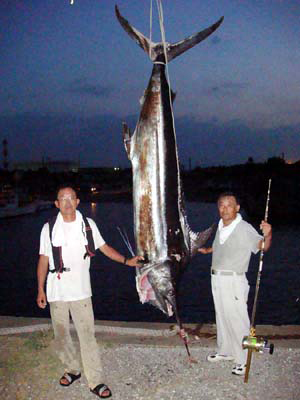 �O�Y����