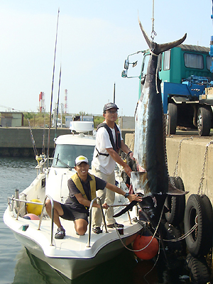 �O�Y����