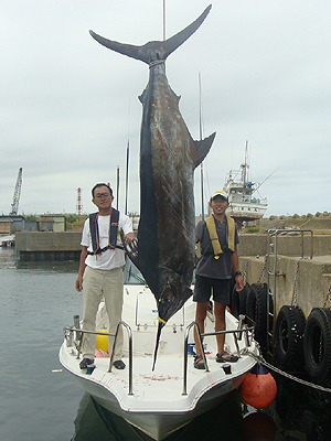 �O�Y����