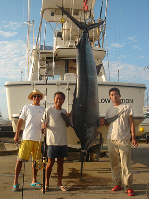 ���c����