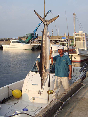 �O�Y����