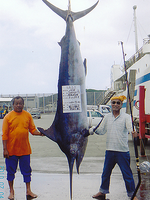 �������Y