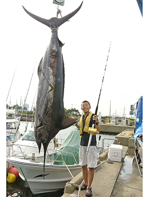 �{�����p