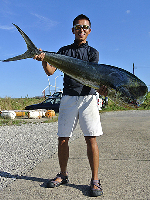 �{�����p