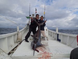 ���l�Q�[�h