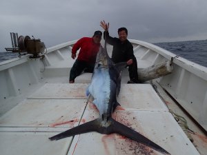 ���l�Q�[�h